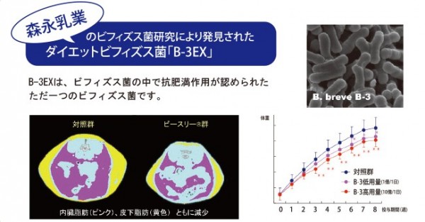 プレミア2